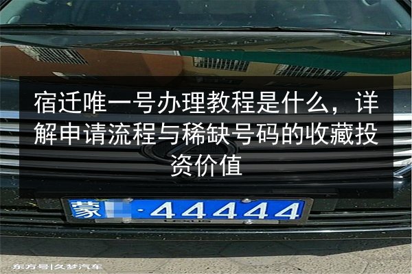 宿迁唯一号办理教程是什么,详解申请流程与稀缺号码的收藏投资价值 第2张 宿迁唯一号办理教程是什么,详解申请流程与稀缺号码的收藏投资价值 第2张