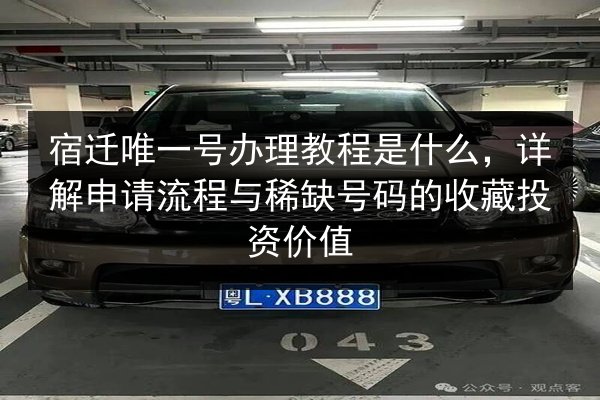 宿迁唯一号办理教程是什么,详解申请流程与稀缺号码的收藏投资价值 第3张 宿迁唯一号办理教程是什么,详解申请流程与稀缺号码的收藏投资价值 第3张