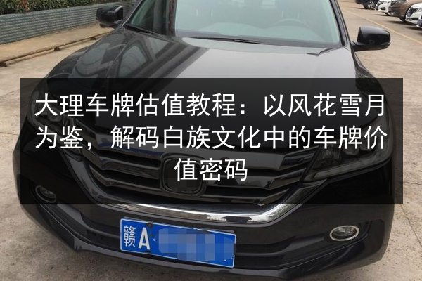 大理车牌估值教程:以风花雪月为鉴,解码白族文化中的车牌价值密码 第1张 大理车牌估值教程:以风花雪月为鉴,解码白族文化中的车牌价值密码 第1张