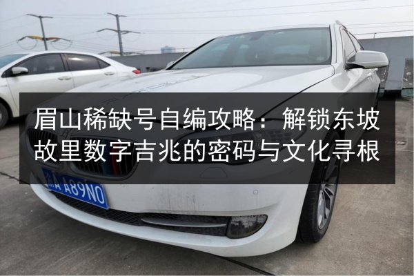 眉山稀缺号自编攻略：解锁东坡故里数字吉兆的密码与文化寻根