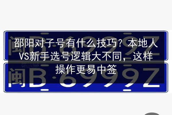 邵阳对子号有什么技巧？本地人VS新手选号逻辑大不同，这样操作更易中签