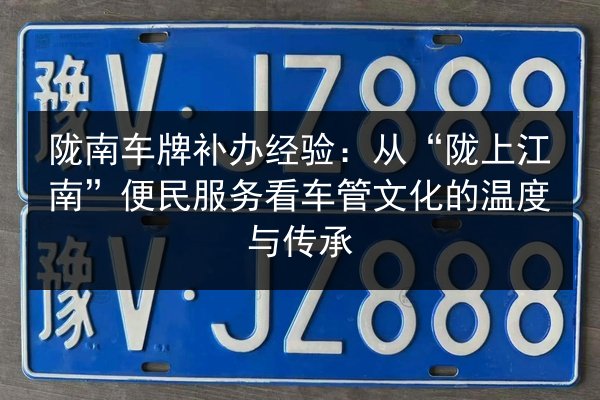 陇南车牌补办经验：从“陇上江南”便民服务看车管文化的温度与传承