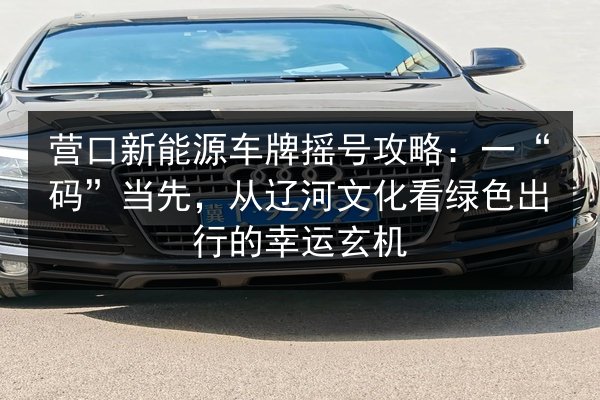 营口新能源车牌摇号攻略:一“码”当先,从辽河文化看绿色出行的幸运玄机 第3张 营口新能源车牌摇号攻略:一“码”当先,从辽河文化看绿色出行的幸运玄机 第3张