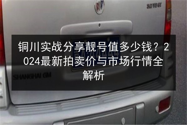 铜川实战分享靓号值多少钱？2024最新拍卖价与市场行情全解析