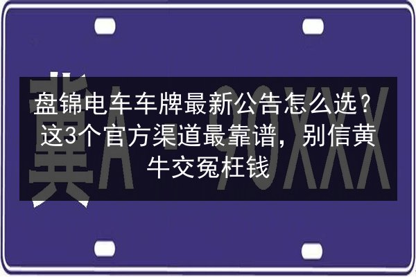 盘锦电车车牌最新公告怎么选？这3个官方渠道最靠谱，别信黄牛交冤枉钱 第2张