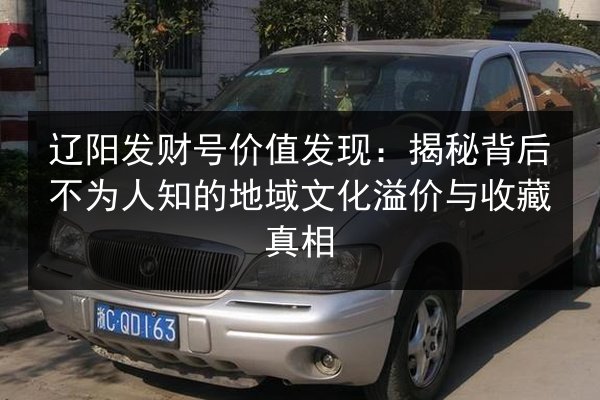 辽阳发财号价值发现：揭秘背后不为人知的地域文化溢价与收藏真相 第2张