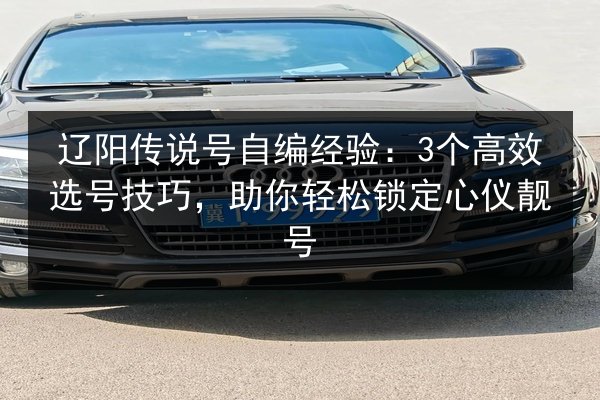 辽阳传说号自编经验:3个高效选号技巧,助你轻松锁定心仪靓号 第2张 辽阳传说号自编经验:3个高效选号技巧,助你轻松锁定心仪靓号 第2张