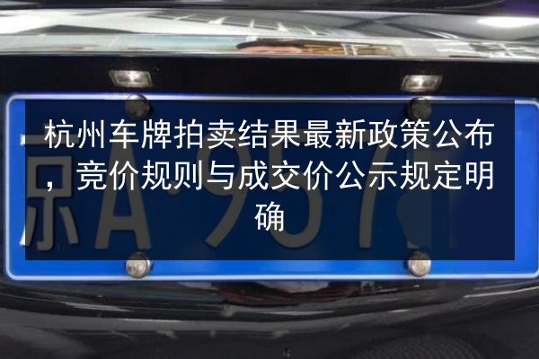 杭州车牌拍卖结果最新政策公布，竞价规则与成交价公示规定明确 第2张