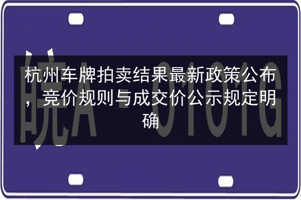 杭州车牌拍卖结果最新政策公布，竞价规则与成交价公示规定明确 第3张