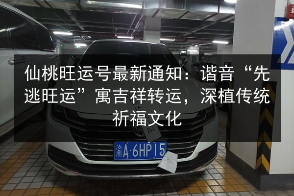仙桃旺运号最新通知：谐音“先逃旺运”寓吉祥转运，深植传统祈福文化 第2张