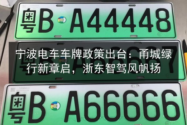 宁波电车车牌政策出台:甬城绿行新章启,浙东智驾风帆扬 第3张 宁波电车车牌政策出台:甬城绿行新章启,浙东智驾风帆扬 第3张