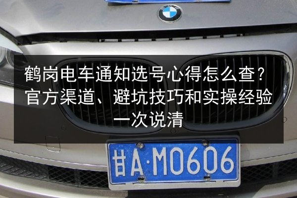 鹤岗电车通知选号心得怎么查？官方渠道、避坑技巧和实操经验一次说清
