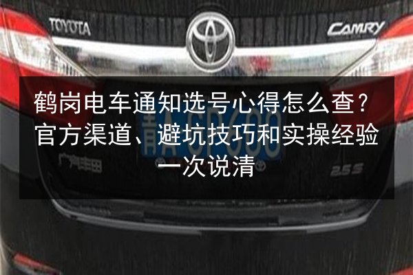 鹤岗电车通知选号心得怎么查？官方渠道、避坑技巧和实操经验一次说清 第2张