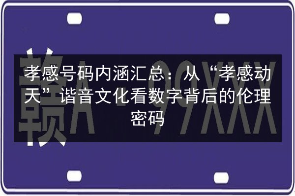 孝感号码内涵汇总：从“孝感动天”谐音文化看数字背后的伦理密码 第2张
