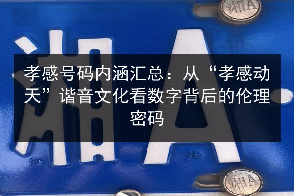孝感号码内涵汇总：从“孝感动天”谐音文化看数字背后的伦理密码 第3张