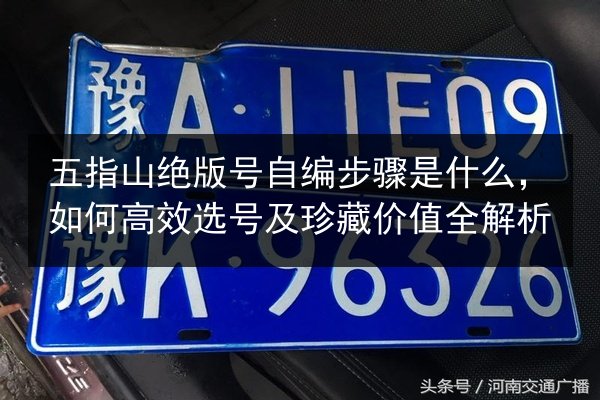 五指山绝版号自编步骤是什么,如何高效选号及珍藏价值全解析 第1张 五指山绝版号自编步骤是什么,如何高效选号及珍藏价值全解析 第1张