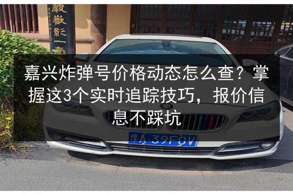 嘉兴炸弹号价格动态怎么查?掌握这3个实时追踪技巧,报价信息不踩坑 第2张 嘉兴炸弹号价格动态怎么查?掌握这3个实时追踪技巧,报价信息不踩坑 第2张