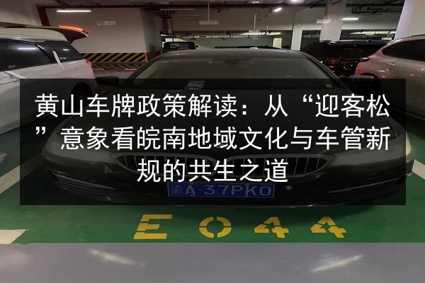黄山车牌政策解读:从“迎客松”意象看皖南地域文化与车管新规的共生之道 第3张 黄山车牌政策解读:从“迎客松”意象看皖南地域文化与车管新规的共生之道 第3张