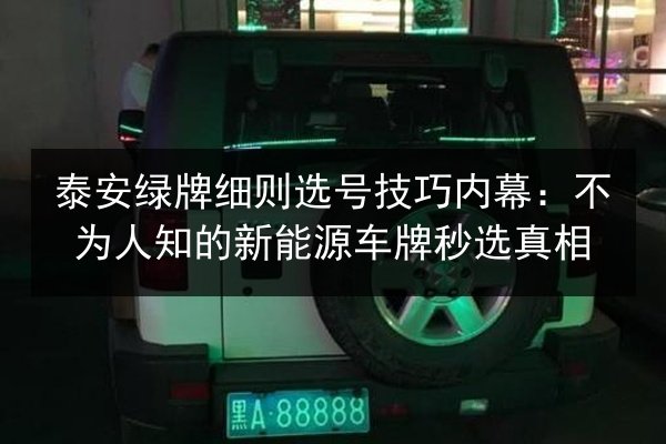 泰安绿牌细则选号技巧内幕：不为人知的新能源车牌秒选真相