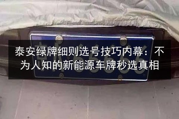 泰安绿牌细则选号技巧内幕：不为人知的新能源车牌秒选真相 第2张