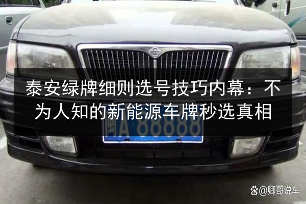 泰安绿牌细则选号技巧内幕：不为人知的新能源车牌秒选真相 第3张