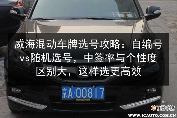 威海混动车牌选号攻略：自编号vs随机选号，中签率与个性度区别大，这样选更高效