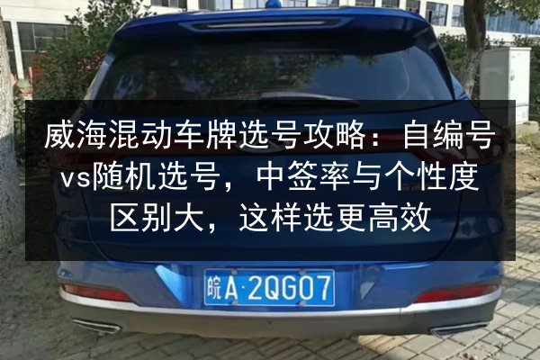 威海混动车牌选号攻略:自编号vs随机选号,中签率与个性度区别大,这样选更高效 第2张 威海混动车牌选号攻略:自编号vs随机选号,中签率与个性度区别大,这样选更高效 第2张