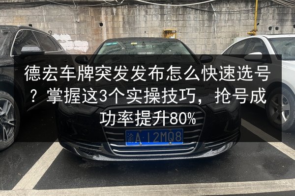 德宏车牌突发发布怎么快速选号?掌握这3个实操技巧,抢号成功率提升80% 第2张 德宏车牌突发发布怎么快速选号?掌握这3个实操技巧,抢号成功率提升80% 第2张