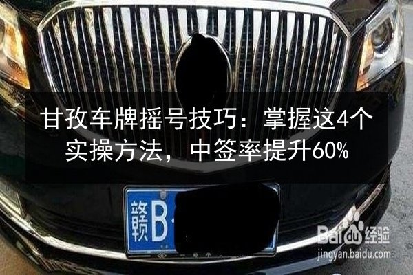 甘孜车牌摇号技巧：掌握这4个实操方法，中签率提升60%
