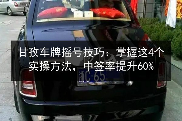 甘孜车牌摇号技巧:掌握这4个实操方法,中签率提升60% 第2张 甘孜车牌摇号技巧:掌握这4个实操方法,中签率提升60% 第2张