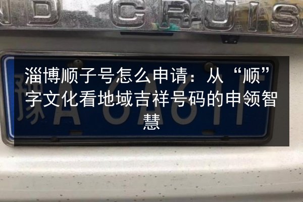 淄博顺子号怎么申请：从“顺”字文化看地域吉祥号码的申领智慧 第2张