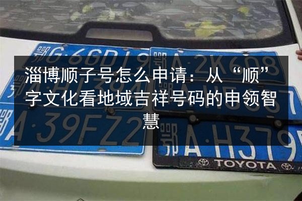 淄博顺子号怎么申请：从“顺”字文化看地域吉祥号码的申领智慧 第3张