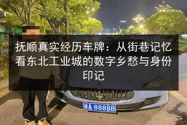 抚顺真实经历车牌:从街巷记忆看东北工业城的数字乡愁与身份印记 第2张 抚顺真实经历车牌:从街巷记忆看东北工业城的数字乡愁与身份印记 第2张