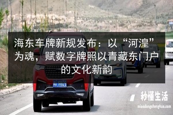 海东车牌新规发布：以“河湟”为魂，赋数字牌照以青藏东门户的文化新韵 第2张