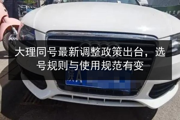 大理同号最新调整政策出台，选号规则与使用规范有变