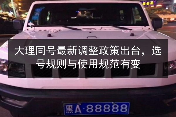 大理同号最新调整政策出台，选号规则与使用规范有变 第3张