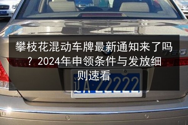 攀枝花混动车牌最新通知来了吗?2024年申领条件与发放细则速看 第3张 攀枝花混动车牌最新通知来了吗?2024年申领条件与发放细则速看 第3张