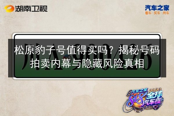 松原豹子号值得买吗？揭秘号码拍卖内幕与隐藏风险真相 第2张