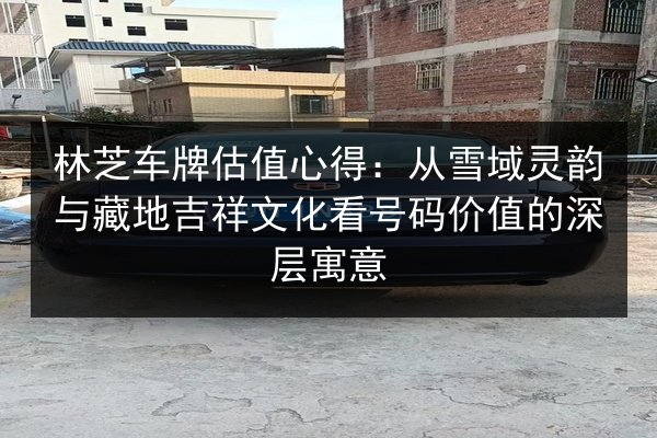林芝车牌估值心得：从雪域灵韵与藏地吉祥文化看号码价值的深层寓意
