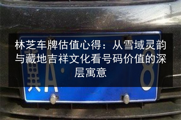 林芝车牌估值心得:从雪域灵韵与藏地吉祥文化看号码价值的深层寓意 第2张 林芝车牌估值心得:从雪域灵韵与藏地吉祥文化看号码价值的深层寓意 第2张