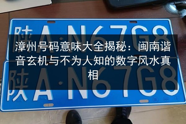 漳州号码意味大全揭秘：闽南谐音玄机与不为人知的数字风水真相