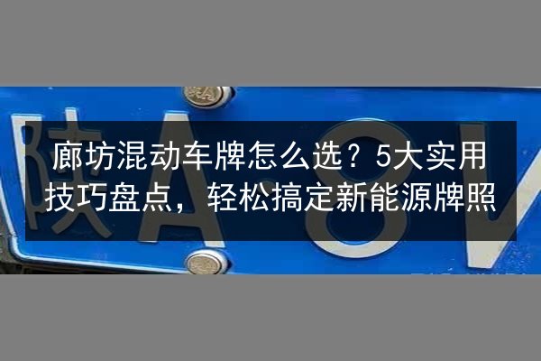 廊坊混动车牌怎么选？5大实用技巧盘点，轻松搞定新能源牌照