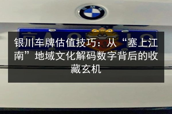 银川车牌估值技巧:从“塞上江南”地域文化解码数字背后的收藏玄机 第2张 银川车牌估值技巧:从“塞上江南”地域文化解码数字背后的收藏玄机 第2张