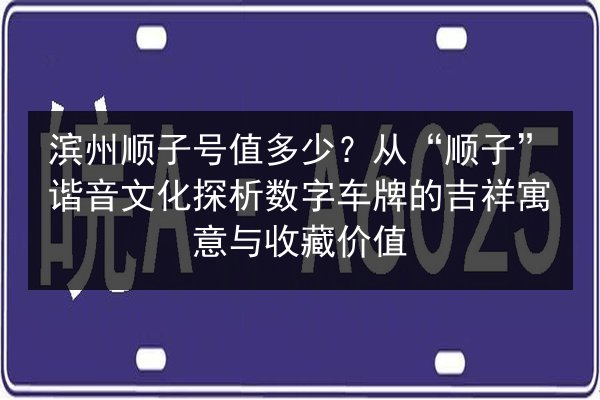 滨州顺子号值多少？从“顺子”谐音文化探析数字车牌的吉祥寓意与收藏价值 第2张