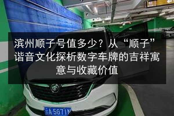 滨州顺子号值多少？从“顺子”谐音文化探析数字车牌的吉祥寓意与收藏价值 第3张