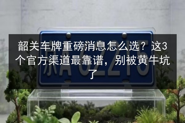 韶关车牌重磅消息怎么选？这3个官方渠道最靠谱，别被黄牛坑了