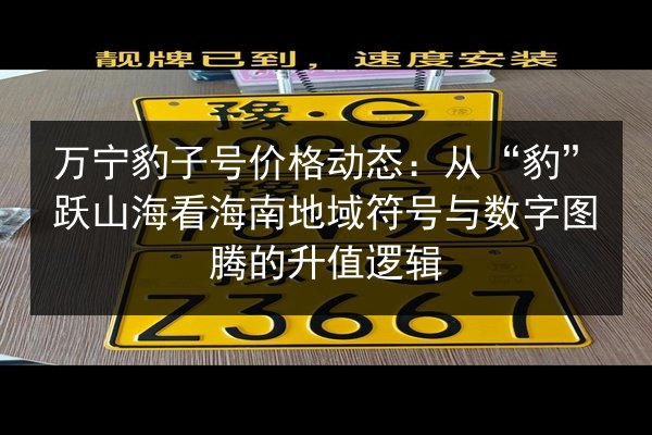 万宁豹子号价格动态:从“豹”跃山海看海南地域符号与数字图腾的升值逻辑 第2张 万宁豹子号价格动态:从“豹”跃山海看海南地域符号与数字图腾的升值逻辑 第2张