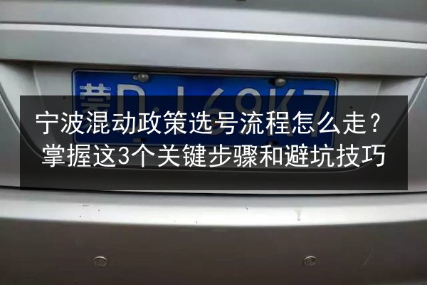 宁波混动政策选号流程怎么走？掌握这3个关键步骤和避坑技巧 第2张