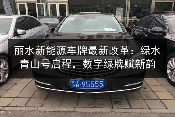 丽水新能源车牌最新改革:绿水青山号启程,数字绿牌赋新韵 第2张 丽水新能源车牌最新改革:绿水青山号启程,数字绿牌赋新韵 第2张