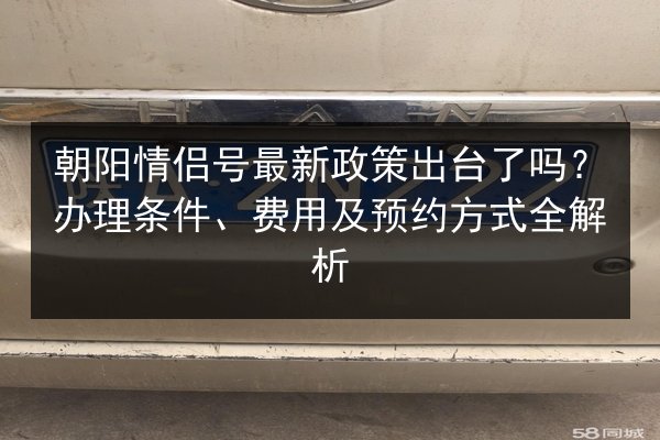 朝阳情侣号最新政策出台了吗？办理条件、费用及预约方式全解析